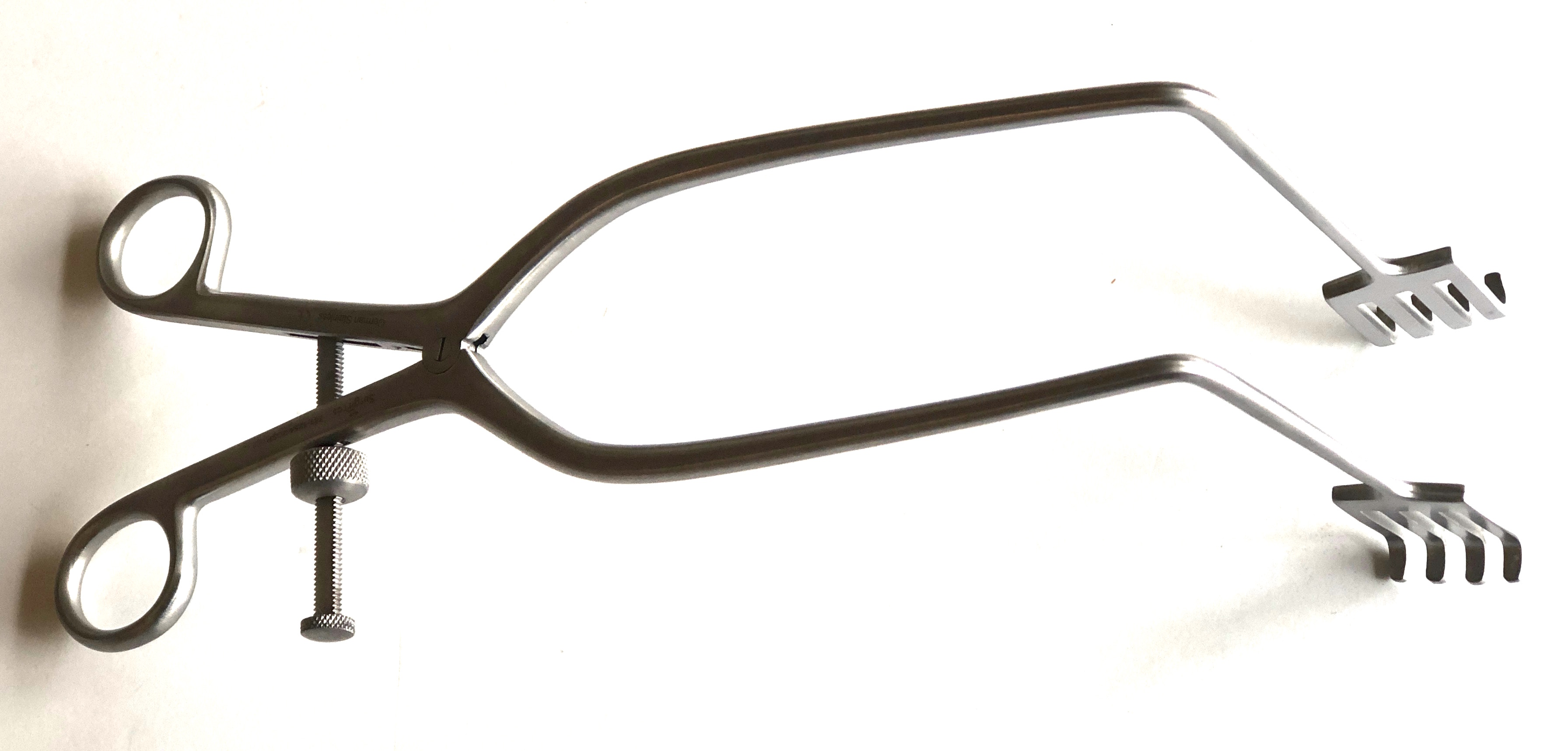 Zelpi Type